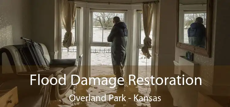 Flood Damage Restoration Overland Park - Kansas