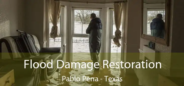 Flood Damage Restoration Pablo Pena - Texas