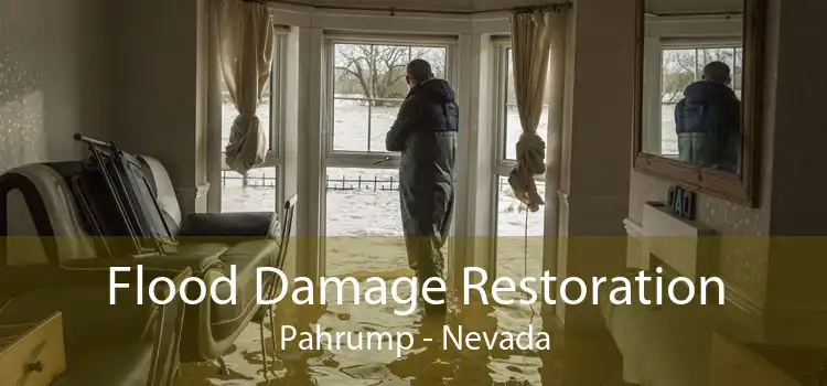 Flood Damage Restoration Pahrump - Nevada
