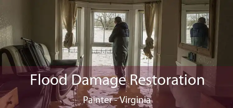 Flood Damage Restoration Painter - Virginia