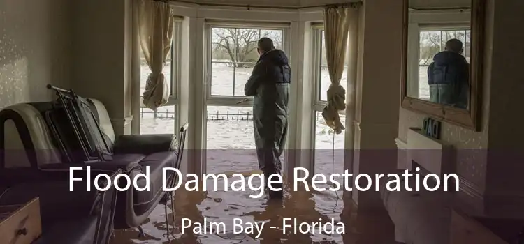 Flood Damage Restoration Palm Bay - Florida