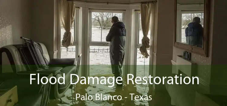 Flood Damage Restoration Palo Blanco - Texas