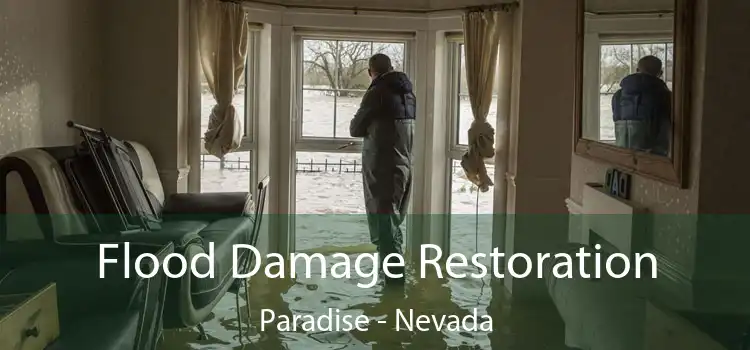 Flood Damage Restoration Paradise - Nevada