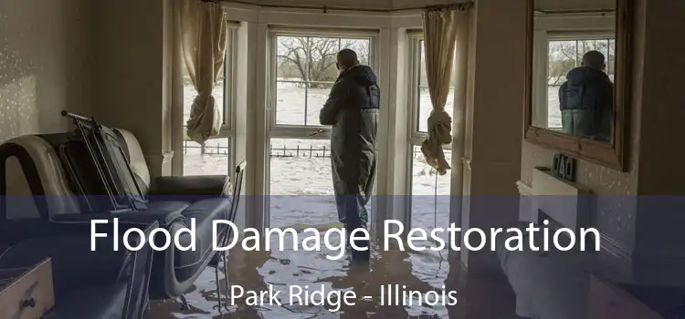 Flood Damage Restoration Park Ridge - Illinois