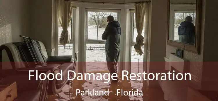 Flood Damage Restoration Parkland - Florida