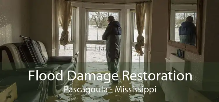 Flood Damage Restoration Pascagoula - Mississippi