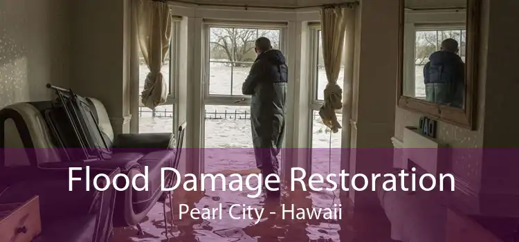 Flood Damage Restoration Pearl City - Hawaii