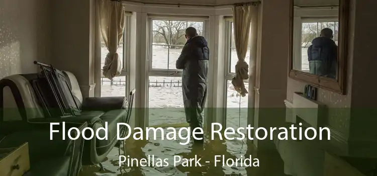 Flood Damage Restoration Pinellas Park - Florida