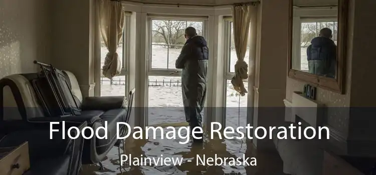 Flood Damage Restoration Plainview - Nebraska