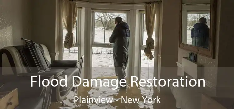 Flood Damage Restoration Plainview - New York