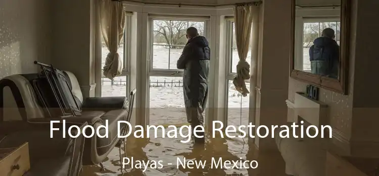 Flood Damage Restoration Playas - New Mexico