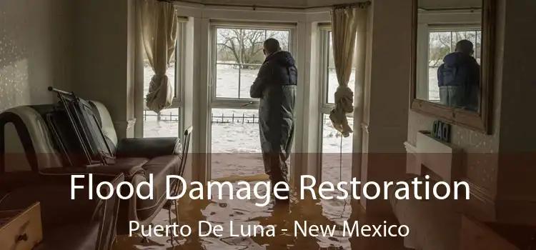 Flood Damage Restoration Puerto De Luna - New Mexico