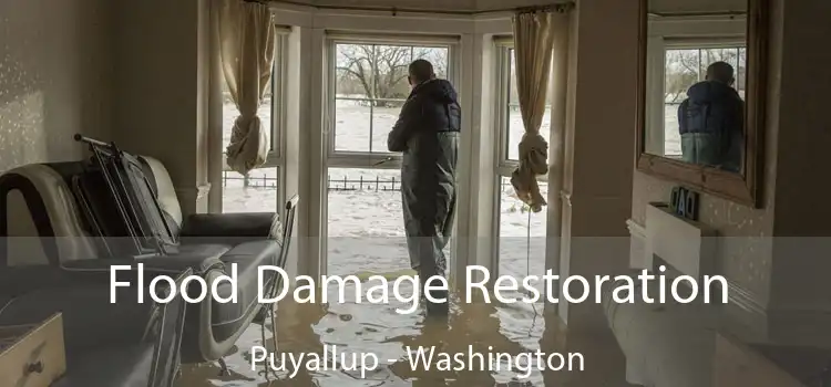 Flood Damage Restoration Puyallup - Washington