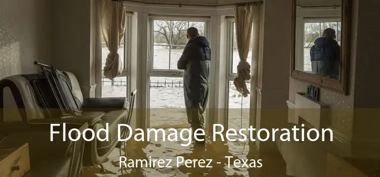 Flood Damage Restoration Ramirez Perez - Texas