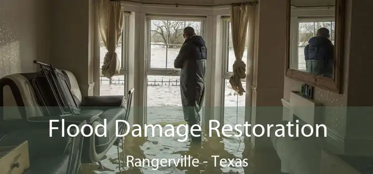 Flood Damage Restoration Rangerville - Texas