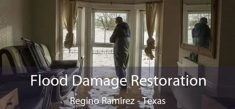 Flood Damage Restoration Regino Ramirez - Texas