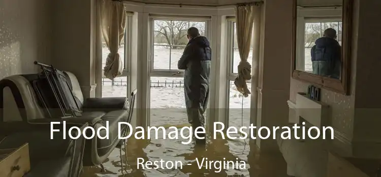 Flood Damage Restoration Reston - Virginia