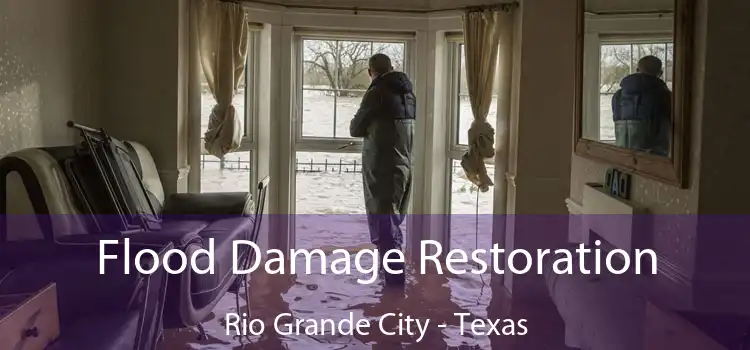 Flood Damage Restoration Rio Grande City - Texas