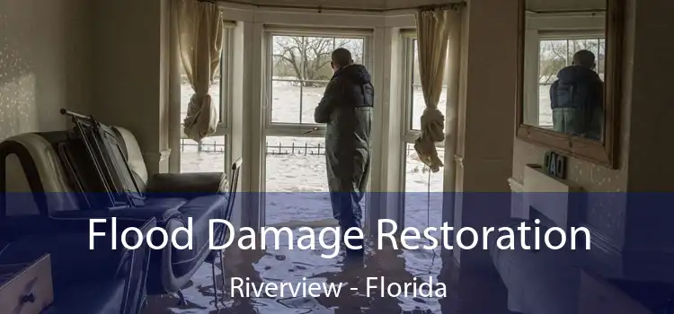Flood Damage Restoration Riverview - Florida