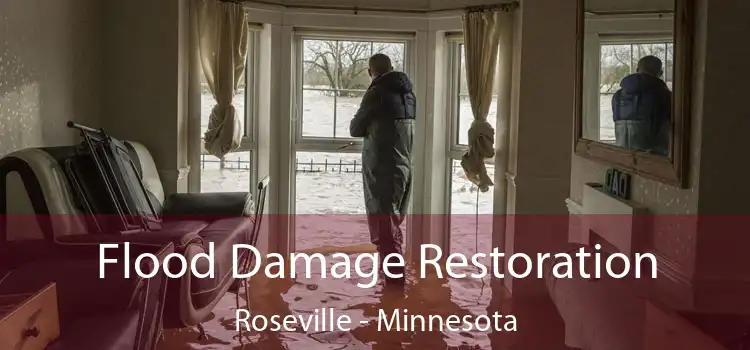 Flood Damage Restoration Roseville - Minnesota