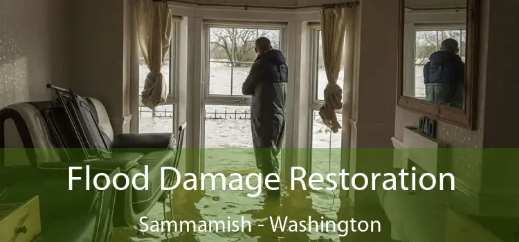 Flood Damage Restoration Sammamish - Washington