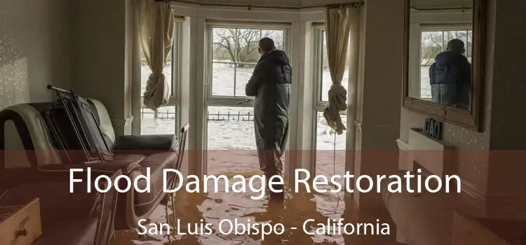 Flood Damage Restoration San Luis Obispo - California