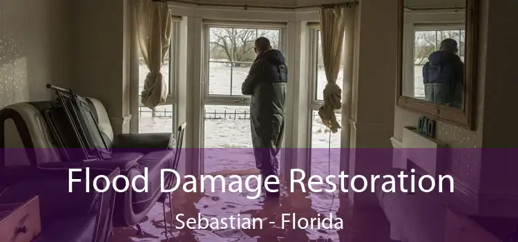 Flood Damage Restoration Sebastian - Florida