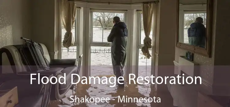 Flood Damage Restoration Shakopee - Minnesota