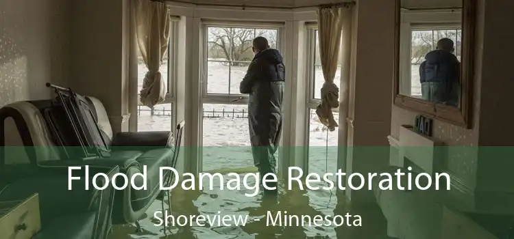 Flood Damage Restoration Shoreview - Minnesota