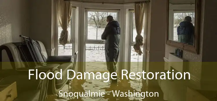 Flood Damage Restoration Snoqualmie - Washington