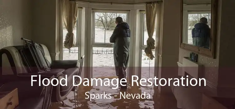 Flood Damage Restoration Sparks - Nevada
