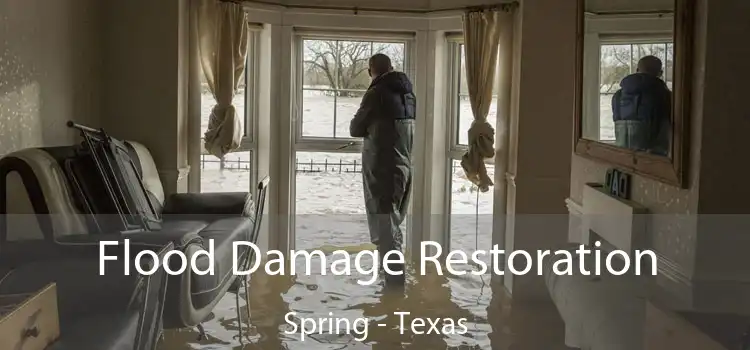 Flood Damage Restoration Spring - Texas