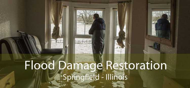 Flood Damage Restoration Springfield - Illinois