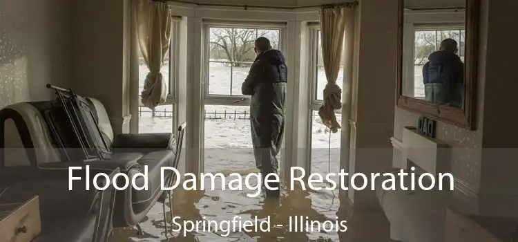 Flood Damage Restoration Springfield - Illinois