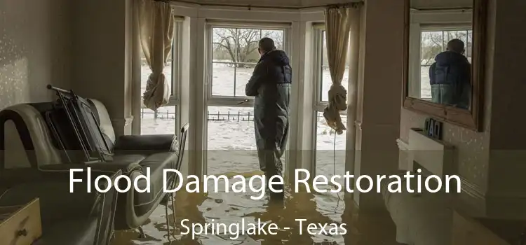 Flood Damage Restoration Springlake - Texas