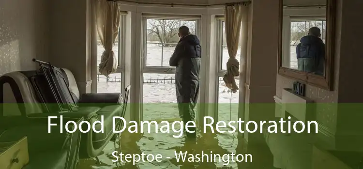 Flood Damage Restoration Steptoe - Washington