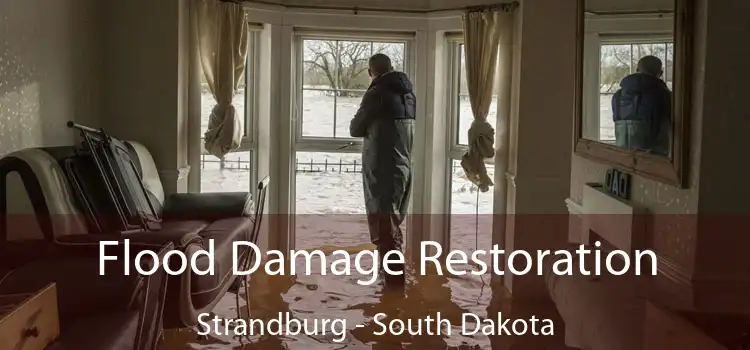 Flood Damage Restoration Strandburg - South Dakota