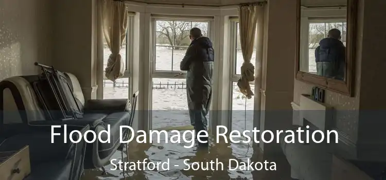 Flood Damage Restoration Stratford - South Dakota