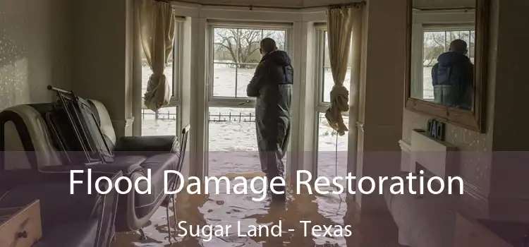 Flood Damage Restoration Sugar Land - Texas