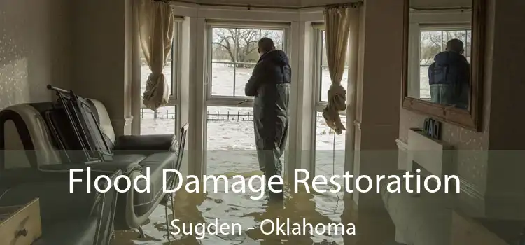 Flood Damage Restoration Sugden - Oklahoma