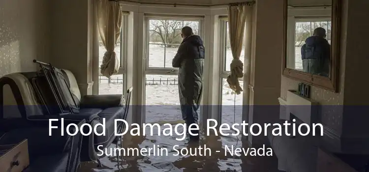 Flood Damage Restoration Summerlin South - Nevada