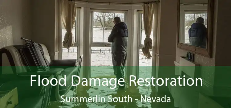 Flood Damage Restoration Summerlin South - Nevada