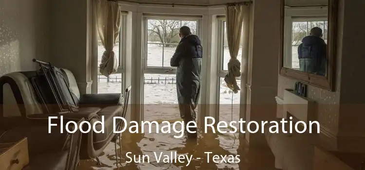 Flood Damage Restoration Sun Valley - Texas