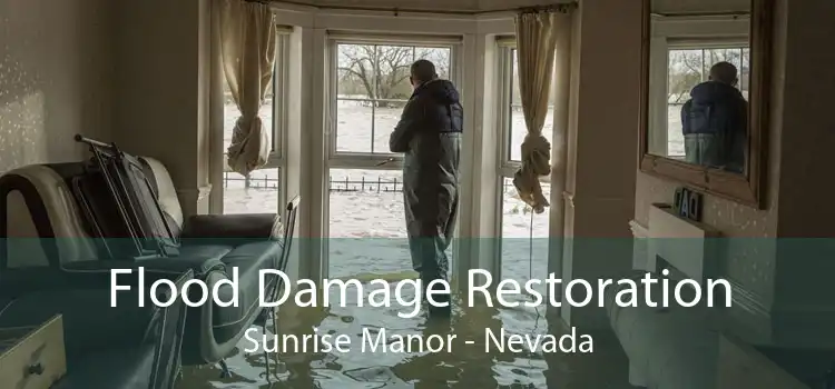 Flood Damage Restoration Sunrise Manor - Nevada