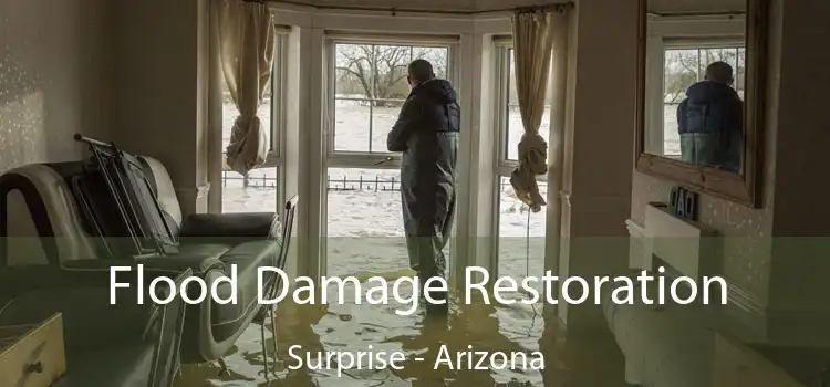 Flood Damage Restoration Surprise - Arizona