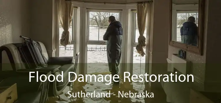 Flood Damage Restoration Sutherland - Nebraska