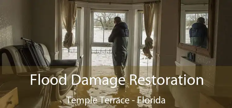 Flood Damage Restoration Temple Terrace - Florida