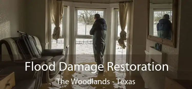 Flood Damage Restoration The Woodlands - Texas