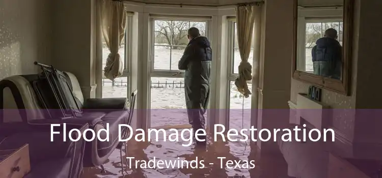 Flood Damage Restoration Tradewinds - Texas