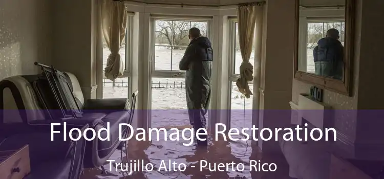 Flood Damage Restoration Trujillo Alto - Puerto Rico